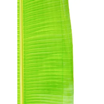 Green Paper Banana Leaf